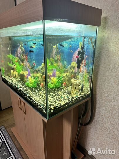 Аквариум с тумбой