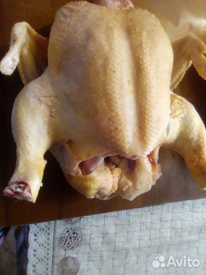 Свинина домашняя, домашние бройлеры