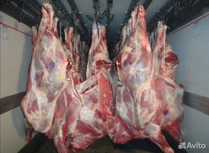 Мясо Свинина Баранина Говядина Куры