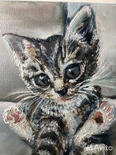 Картина маслом Маленький котенок Холст 20х15 см