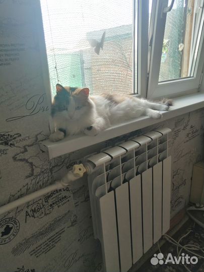 Сантехник сварщик