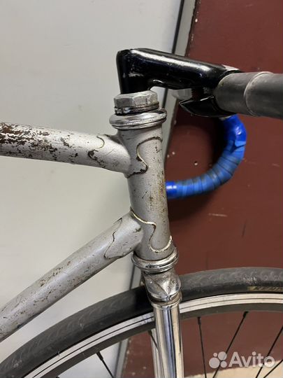 Рама фаворит