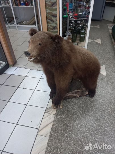 Чучело медведя имитация