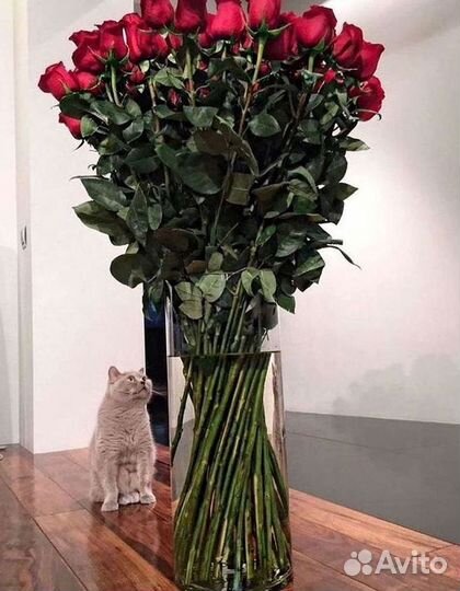 Розы высокие Доставка цветов