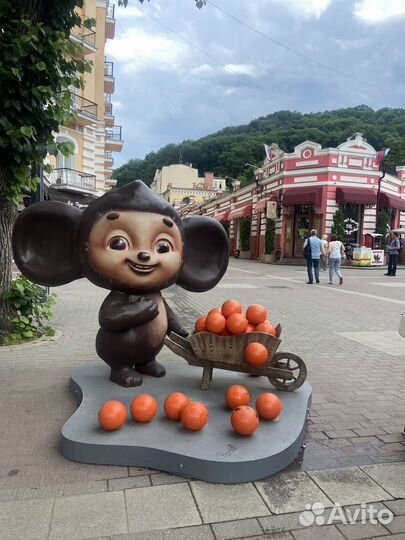 Экскурсии по К М В и Кавказу