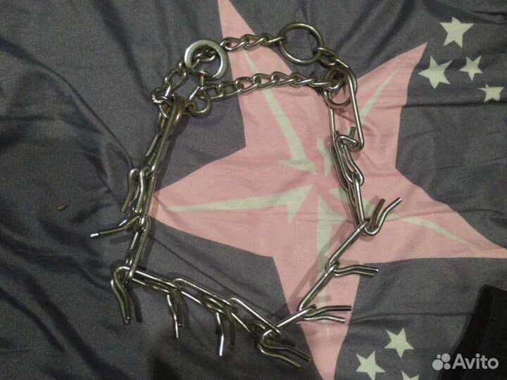 Строгий ошейник