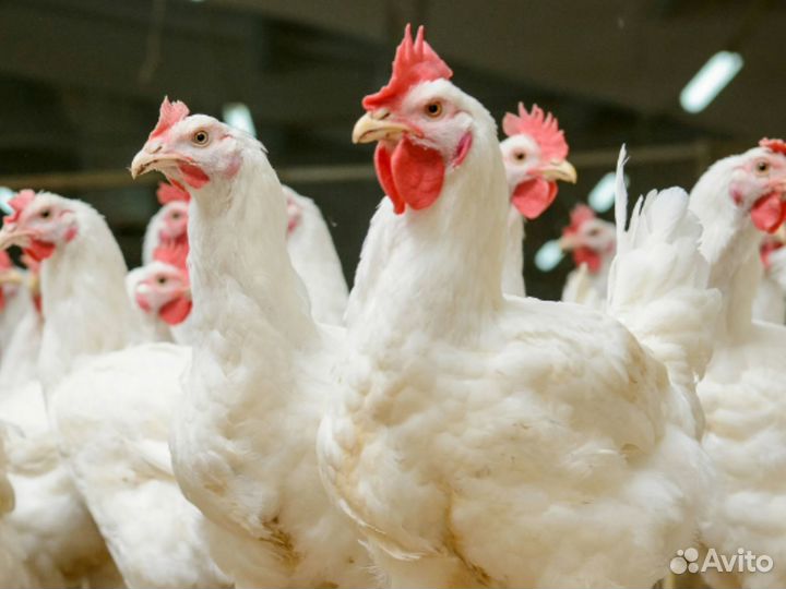 Разнорабочий вахта в Москве