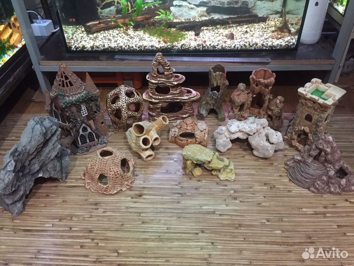 Аквариум, рыбки