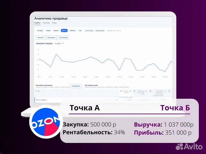 Бизнес под ключ на ozon с прибылью от 300 000 т.р