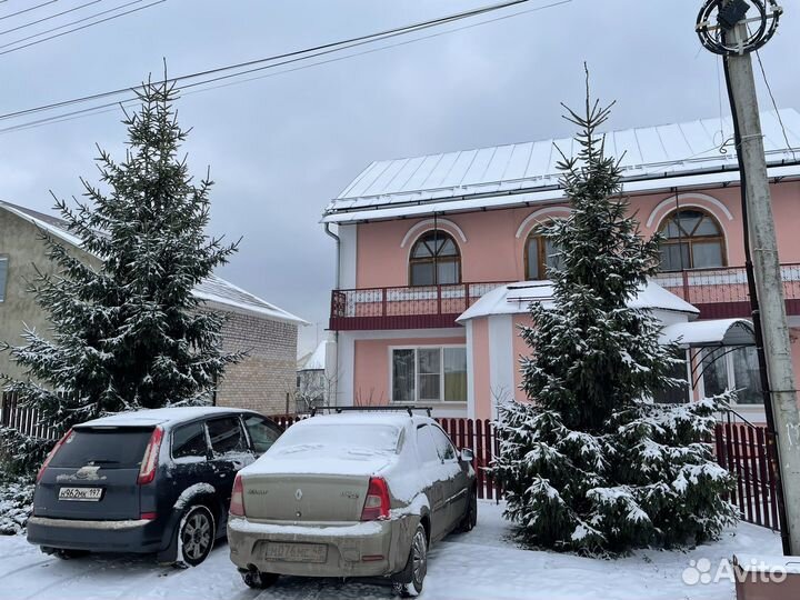 Ель новогодняя живая