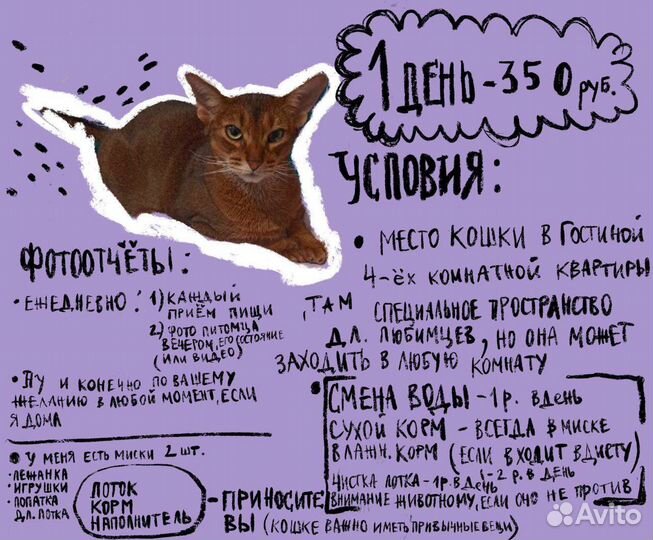 Передержка домашних животных