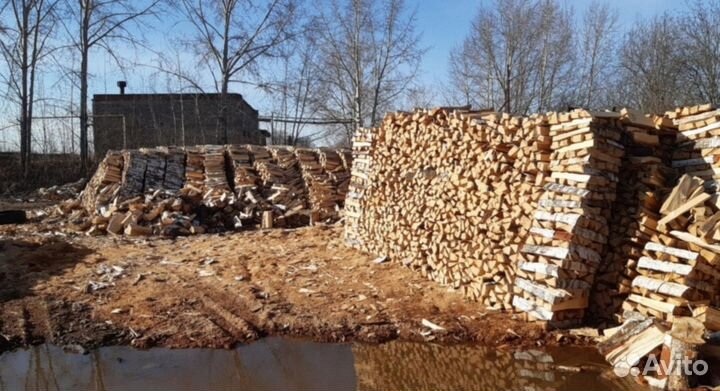 Дрова береза