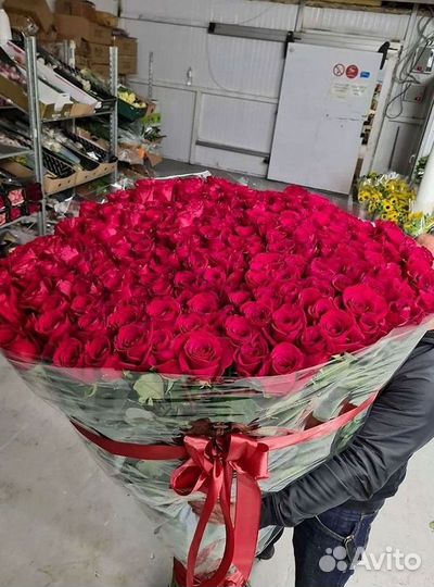 Розы гиганты 140 150 160 170 180 200