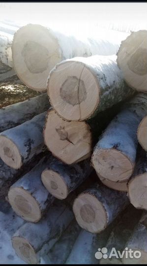 Лес кругляк Сосна дрова Берёза Осина