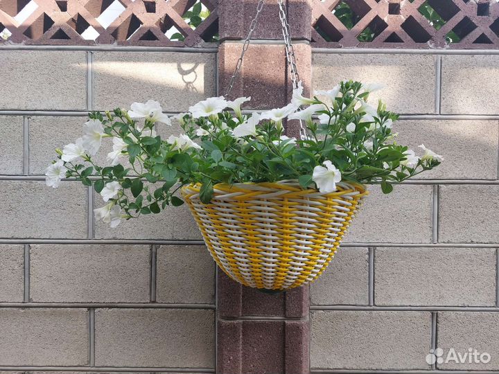 Кашпо и корзинки из ротанга