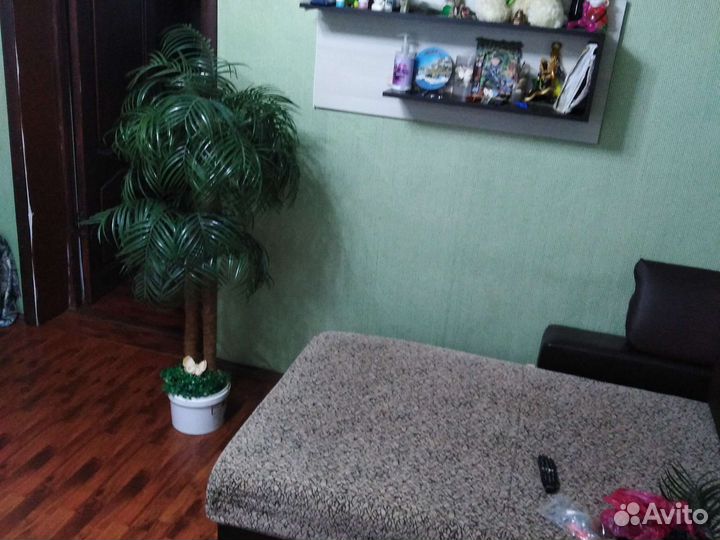 Пальмы разные