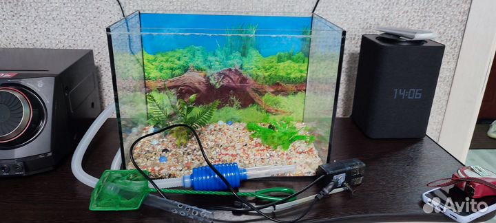 Аквариум