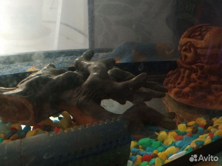 Аквариум