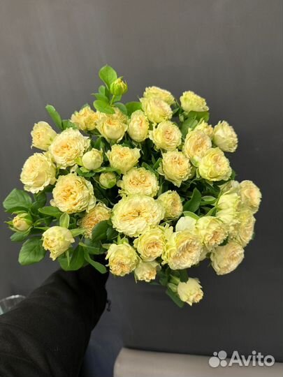 Кустовая роза букет