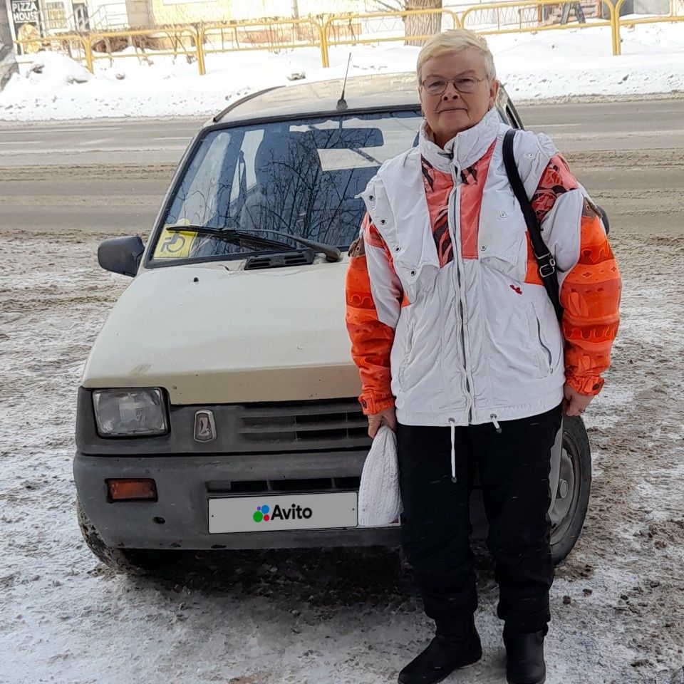 ВАЗ (LADA) 1111 Ока: фото владельца