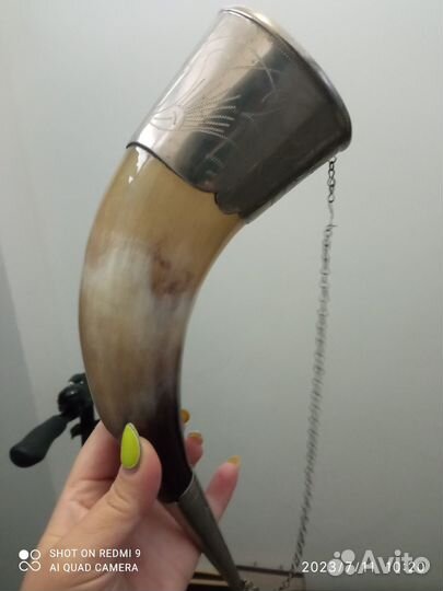 Рог настоящи