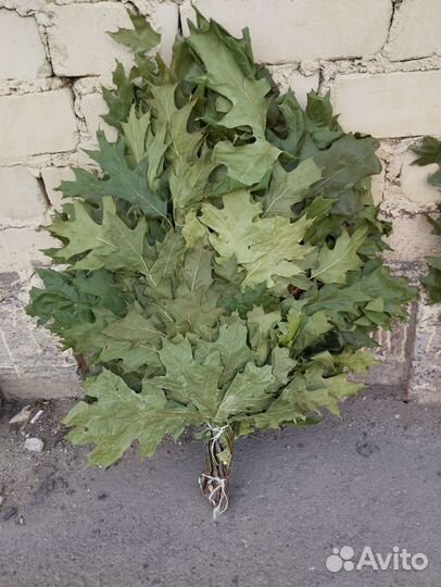 Веник банный, веник для бани канадский дуб