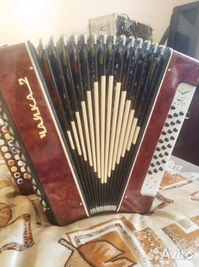 Продаю гармонь чайка 2