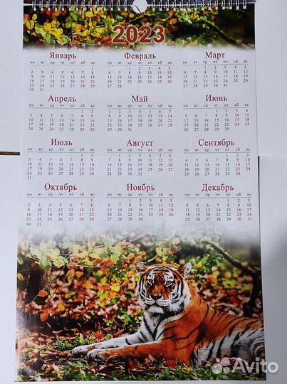 Настенный календарь тигры 2022-2023