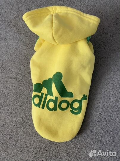 Одежда для маленьких собак