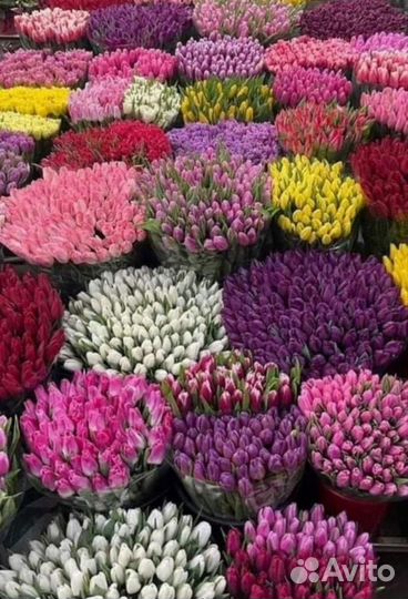 Букет свежих цветов