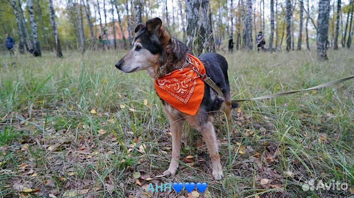 Даша ждёт своих родителей в приюте