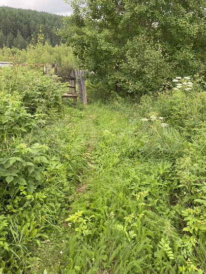 Участок 11,6 сот. (СНТ, ДНП)