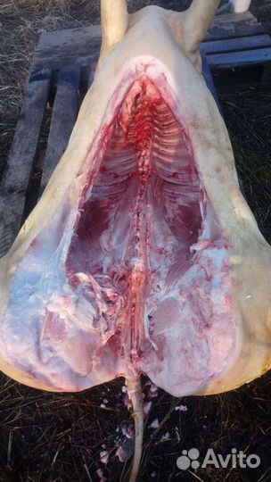 Свинина деревенская