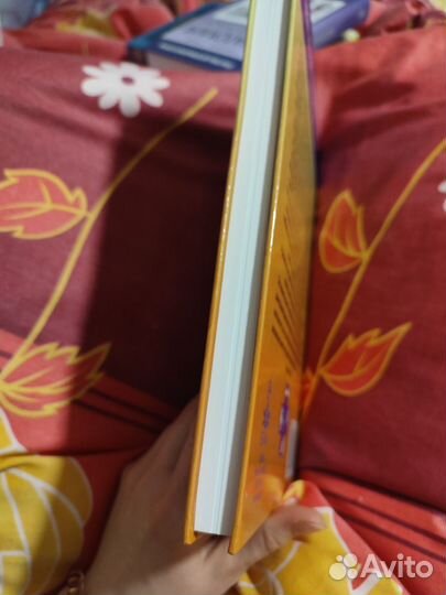 Стоматология собак и кошек