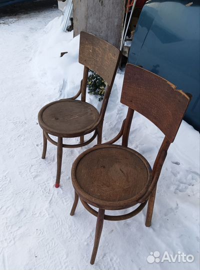 Стулья венские старинные