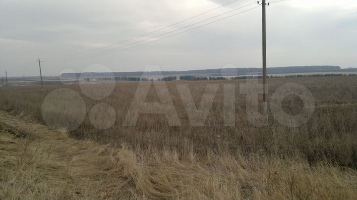 Участок 53,36 га (СНТ, ДНП)