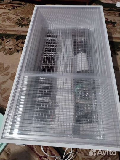 Инкубатор новый Матрица Рио