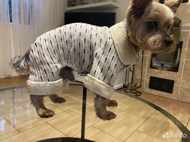 Новые комбинезоны ручной работы для собачек