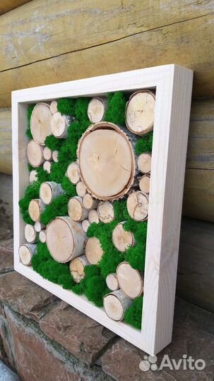 Панно мох и спилы дерева