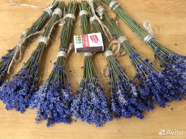 Лаванда сухоцвет