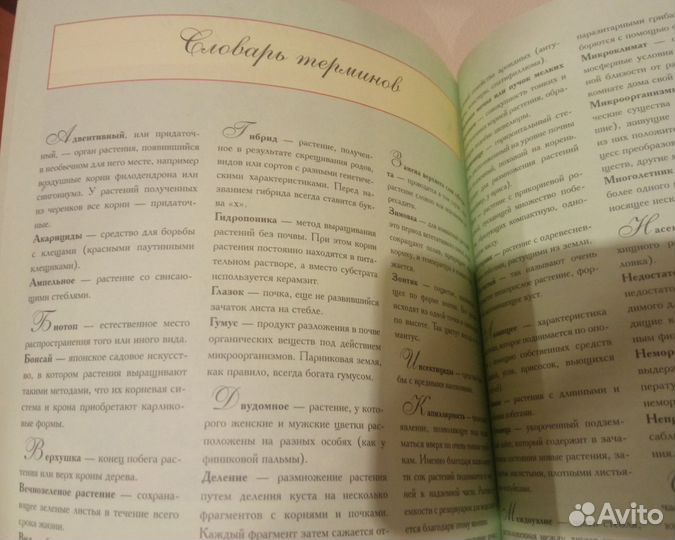 Комнатные растения энциклопедия