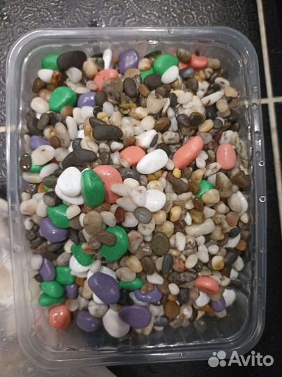 Аквариум для черепах