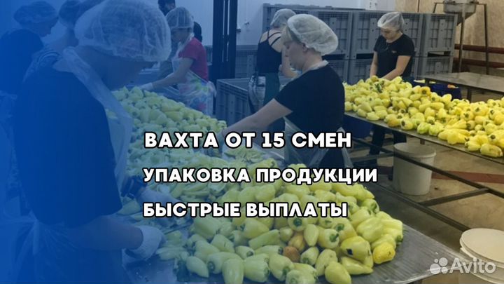 Упаковщики+Еженедельный аванс/Без опыта