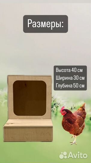 Гнездо для кур с яйцесборником