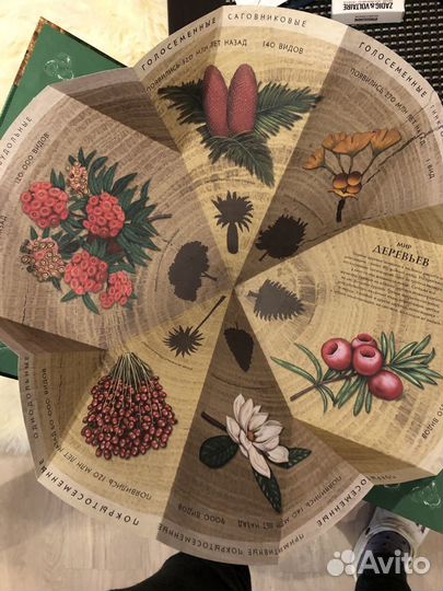 Детская серия книг Деревья,Войны,Рим