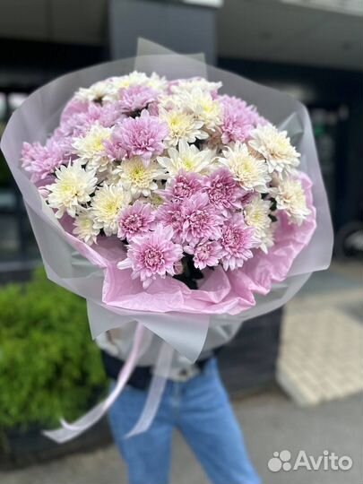Купить Букет Хризантем Доставка Цветов Хризантемы