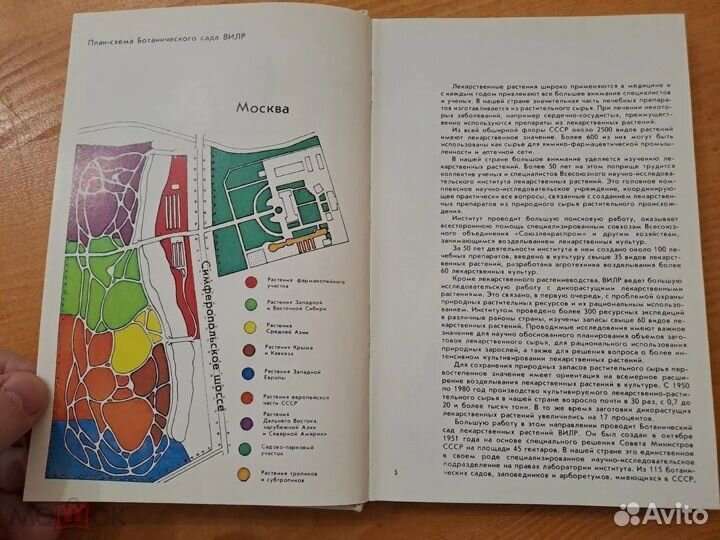 Лекарственные Растения Ботанического Сада вилр 198