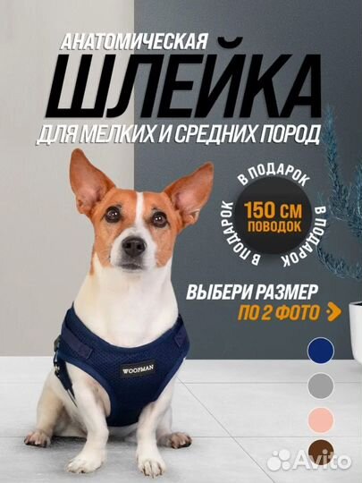 Шлейка для собак с поводком М размер