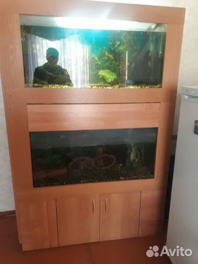 Аквариум