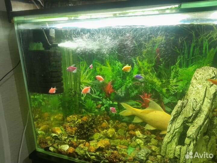 Аквариум с тумбой 400 литров